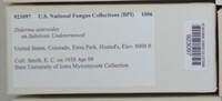 Image Associated With the Occurence